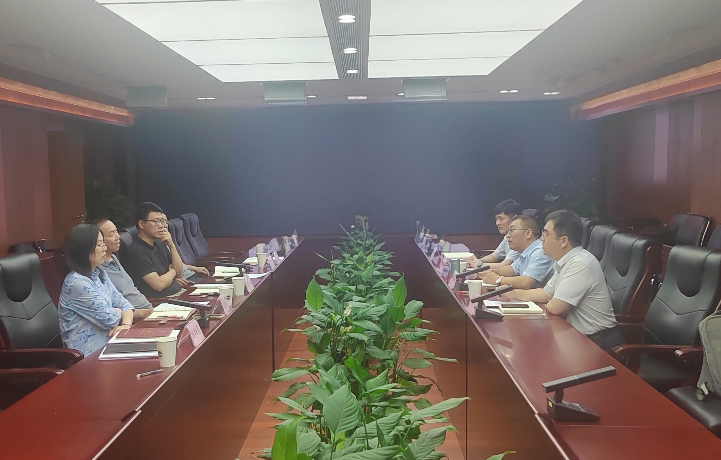 发展研究中心.jpg