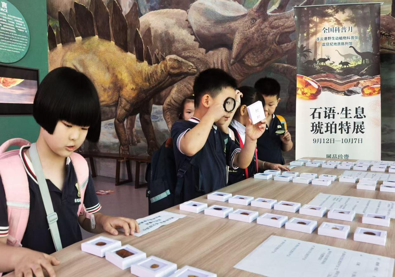 地学科普“活”起来 科学种子“种”心间       ——我队全国科普月活动精彩纷呈