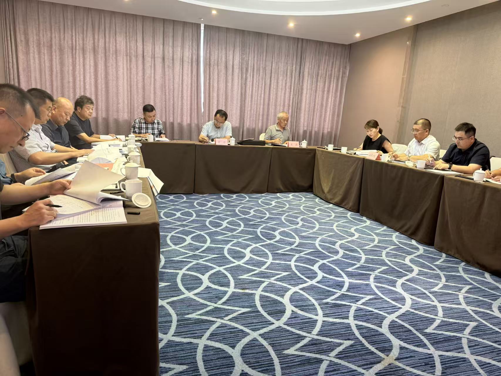我队一磷矿普查项目顺利通过设计评审并获评优秀等级